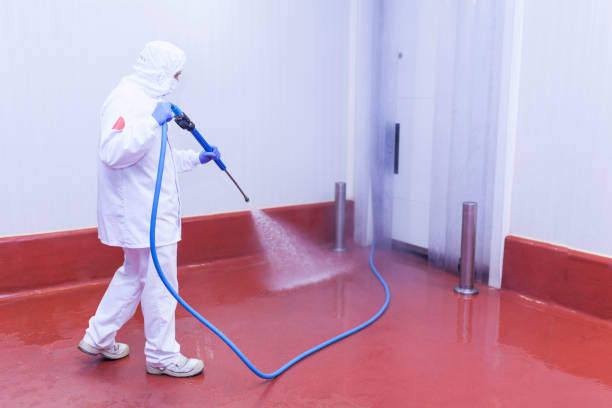Best Paint Preparation  in Chetopa, KS
